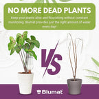 Blumat Plant Watering Devices - Easy Self Watering Planter Insert for Indoor Plants - Bottle Adapter - Prevents Overwatering and Underwatering for Healthy Growth - 1 Pack