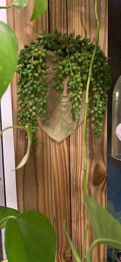 RECUTMS 8Pcs Artificial Succulent Plants Hanging String of Pearls Plant Faux Succulent Draping Greenery Unpotted Succulent Plant Summer Home Office Indoor Outdoor Wedding Graduation Party Decor(Green)