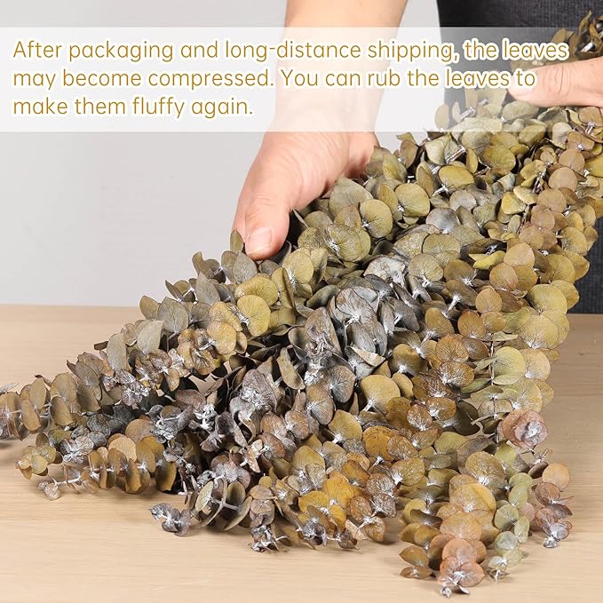 Tavkite 16 Pcs Dried Eucalyptus Stems, 17'' Natural Fresh Eucalyptus Leaves Branches Hanging for Shower, Preserved Real Yellow Plant Live for Home SPA Wall Bathroom Wedding Party Vase Decor