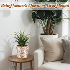 Beeveer Farmhouse Ceramic Planter 5.5 Inch Large Plants Pot Crack Beige Brown Flowers Plant Pots with Drainage Hole Indoor Plants Kitchen Rustic Antique Decor Gift