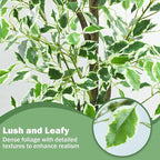 Caxchiling Fake Ficus Tree 6FT,Artificial Floor Plants for Indoor Outdoor, Lifelike Potted Tree with Moss Topper and Cotton Basket, Home Office Living Room Bedroom Doorway Decor (White-Edged Leaves)