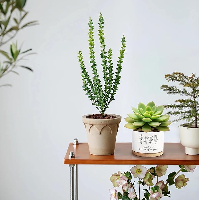 Thank You for Helping Me Grow Ceramic Succulent Funny Planter Pots for Plant Lovers Teacher Birthday Christmas Thanksgiving Gift, 3.6 Inch (Plant Not Included)