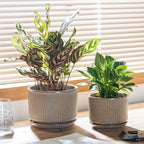 Speckle Gray Ceramic Plant Pots Set of 3, 4.3+5.5+6.7 Inch Indoor Flower Pot with Drainage Hole & Saucer & Hole Pads, Striped Decorative Planter Set for Indoor Plants, Gardening Pots & Accessories