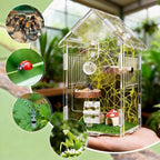 Hysagtek Jumping Spider Enclosure - Acrylic Arboreal Tarantula Enclosure Small Reptile Terrarium with Magnetic Door, Clear Jumping Spider Enclosure Accessories