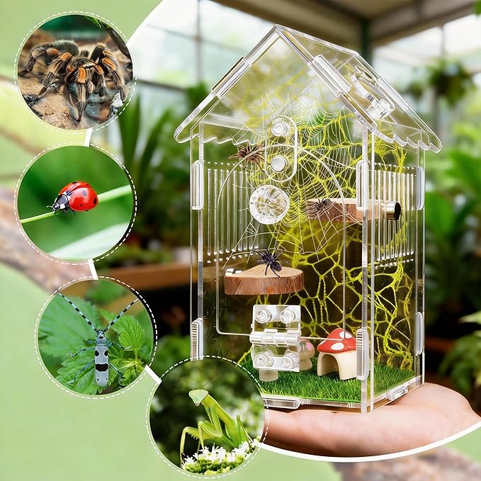 Hysagtek Jumping Spider Enclosure - Acrylic Arboreal Tarantula Enclosure Small Reptile Terrarium with Magnetic Door, Clear Jumping Spider Enclosure Accessories