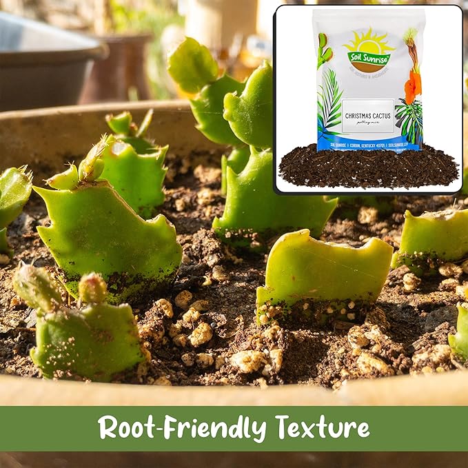 Soil Sunrise Christmas Cactus Potting Soil Mix (4 Quarts) Custom Blend for Xmas, Easter, and Thanksgiving Cactus Tropical Indoor Houseplants