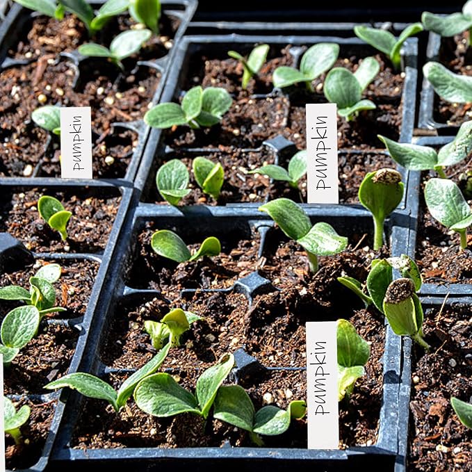 Foraineam 1000 Pcs 4 Inches Plant Labels Plastic Plant Tags Nursery Garden Labels Pot Marker Garden Stake Tags