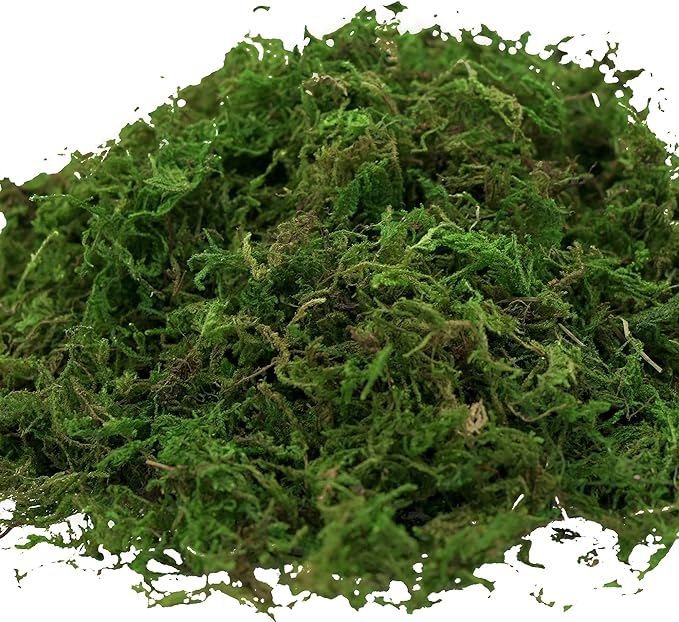 USMOLA Artificial Moss 16oz – Fake Moss for Crafts, Fairy Gardens, Wedding & Party Decor, Centerpieces & Potted Plants (Fresh Green, 455g)