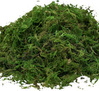 USMOLA Artificial Moss 16oz – Fake Moss for Crafts, Fairy Gardens, Wedding & Party Decor, Centerpieces & Potted Plants (Fresh Green, 455g)