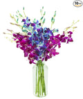 KaBloom - Midnight in the Tropics Bouquet of Blue and Purple Orchids from Thailand with Vase - Fresh Flowers for Birthday, Valentine's & Mother's Day