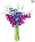 KaBloom - Midnight in the Tropics Bouquet of Blue and Purple Orchids from Thailand with Vase - Fresh Flowers for Birthday, Valentine's & Mother's Day