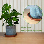 12 Pack 10 Inch Round Plant Saucers for Less 8 Inch Pot Indoors Outdoors Plant Trays for Pots Planter Saucer Plastic Drip Tray Planter Water Tray (Clear, 10"(12pcs))