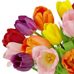 Benchmark Bouquets - Rainbow Tulips - Fresh Flowers for Delivery - Mothers Day Flowers for Mom - Mothers Day Gifts - Birthday Flowers for Women - Glass Vase Included (20 Stems)