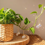 6 Pcs Colorful Crystal Sun Catcher Plant Vine Charms Hanging for Mini Potted Plants, Home Window Garden, Garden Home Window Rainbow Sun Catchers Plant Accessories Indoor (Ball)