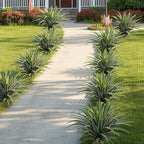 Artificial Agave Plant 27.55Inch UV Resistant Faux Agave Plant Outdoor Large Fake Plants Indoor Realistic Artificial Plants Without Pot for Outdoor Patio Garden Indoor Home Decor (2 Packs)