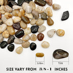 RITOLLO 12 lb River Rocks Pebbles for Indoor Plants 3/8-1 Inch Natural Aquarium Gravel Decorative Fish Tank Rocks Garden Landscaping Decor (Pack of 2)