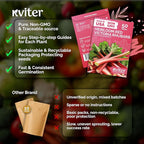 KVITER 50 Red Victoria Rhubarb Seeds for Planting (Rheum Rhabarbarum) – Organic & Heirloom Seeds, Perennial Vegetable Seeds – Perfect for Rhubarb Jam & Pies, Grow in Beds & Outdoor Garden