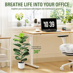 Suntee 2 Pack Artificial Fiddle Leaf Fig Tree, 30" Ficus Lyrata Fake Plants with White Planter, Floor Plant Outdoor Faux Plants for Living Room, Corner, Office, Patio, Windowsill Decor