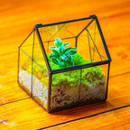 NCYP Mini Glass Terrarium with Lid - 4.25" x 4.25" x 4.92" Small House Shape Close Geometric Planter Pot for Mini Succulents Plant - Handmade, Home Garden Office Decor, Black (Terrarium Only)