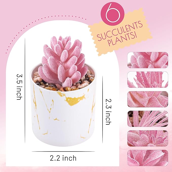 Der Rose 6 Pack Fake Plants Succulents Plants Artificial for Bathroom Home Office Desk Accessories for Women