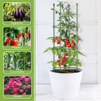 Joyhalo 2 Pack 65 Inch Tomato Cages for Garden, Upgraded Larger Size Heavy Duty Tomato Cage, Height Adjustable Tomatoes Trellis for Climbing Plants Vegetables Flowers Cucumber Peony