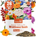 Groundio Wildflower Seeds Bulk, 4 Ounce, 200,000+ Seeds, 26 Varieties Annual & Perennial Flower Seeds Mix with Zinnia, Milkweed, Butterflyweed, Attracts Pollinators, Plant in Spring or Fall