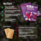 KVITER 2,000 Mix Dwarf Petunia Seeds for Planting Flowers (Nana Compacta) — Mini Petunia Flower Seeds, Annual, Organic & Non GMO — Beds, Hanging Baskets, Containers, Outdoor & Indoor Garden