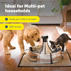 PetSafe Stainless Multi-Pet Fountain with Carbon Filters Great for Multiple Pet Households Customizable Stream Options Scratch and Rust Resistant 128 Oz Water Capacity Fresh, Filtered Water
