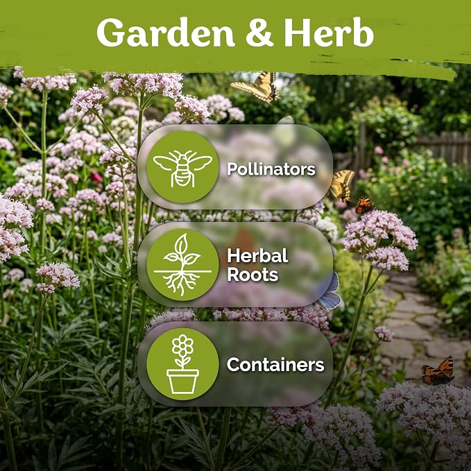 KVITER 650 Valerian Seeds (Valeriana Officinalis) – Common Valerian Herb Garden Seed Packets, Fragrant, Deer-Resistant, Non GMO Seed - Heirloom Herb Seeds for Outdoor Garden, Beds, Containers