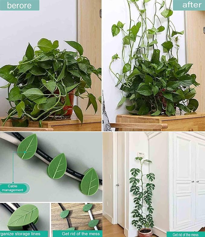80PCS Plant Climbing Wall Fixture Clips-Plant Clips-Pothos Clips-Vine plant wall clips- Self-Adhesive Plant Fixing Hook for Plant Garden Wall Clip,Sticky Plant Fixing Clip for Decoration