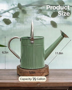 Bamworld Watering Can for Indoor Outdoor Plant Metal Watering Can with Removable Spout Embossd Design Plant Watering Devices Stainless Steel 1/2 Gallon Watering Cans Home & Garden Décor Creamy Green
