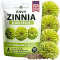 HOME GROWN Envy Zinnia Seeds (2oz) – 8500 Rare Lime Green Annual Zinnia Flower Seeds for Planting, Fast-Growing Bulk Seed Variety, Premium Garden Companion for 2026 Bloom (Zinnia elegans)
