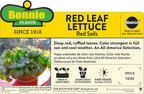 Bonnie Plants Red Lettuce 19.3 oz. 4-pack