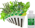 AeroGarden Assorted Italian Herb Seed pod Kit, 6-Pod