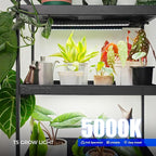 Barrina T5 Grow Lights, 5000K Full Spectrum Daylight White, LED Grow Light Strips, 1FT Plant Growing Lamp with Magnetic Bar, Plant Lights for Indoor Plants, Greenhouse, Black Cover, Linkable, 8 Packs