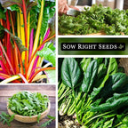 Sow Right Seeds - Power Greens Seed Collection for Planting - Spinach, Arugula, Kale, Mustard Greens and Rainbow Swiss Chard - Non-GMO Heirloom Seeds to Plant and Grow a Home Vegetable Garden