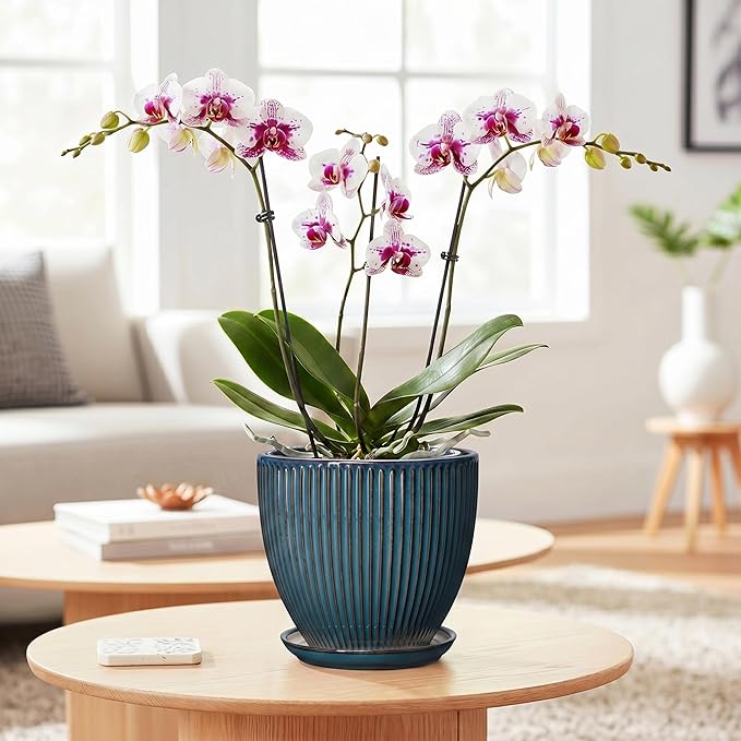 6 Inch Plant Pot, Ceramic Flower Pots for Indoor Plants, Round Planters with Drainage Hole and Saucer, Decorative Small Modern Flower Pots, Home Room Decor, House Warming Gifts, Retro Blue