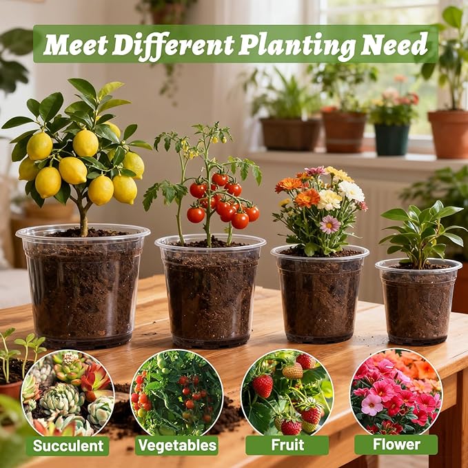12 Pack 4/6/8/10 Inch Clear Nursery Pots for Plants, Large Size Clear Plant Pots with Drainage Holes, Plastic Nursery Pots for Indoor and Outdoor Planting Vegetables, Orchids, Aloe