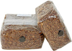 Myco Labs Premium 5-Grain Mushroom Spawn Bags | Sterilized Grain Spawn | Injection Ports | 2 Quarts Each Bag | 2 Bags per Box