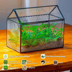 NCYP Glass Terrarium with Acrylic Lid, 10.2x5.9x8.2 Inches House Shape Glass Terrarium for Snails, Indoor Tabletop Decor, Handmade (Plants Not Included)
