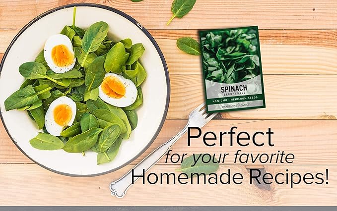 Gardeners Basics, Bloomsdale Spinach Seeds for Planting is A Great Heirloom, Non-GMO Vegetable Variety- Great for Indoor, Outdoor and Hydroponics Gardening