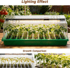 Seed Starter Tray with Grow Light, Seed Starter Kit Full Spectrum with 5 Dimmable Brightness & Timer, Indoor Plant Grow Tray for Beginners & Seasoned Gardeners, Gardening Gifts (Green, 144 Cells)