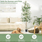 Faux Olive Tree 6FT, Artificial Potted Tree with Planter, Silk Plants Indoor Outdoor, Lifelike Olive Plants with Natural Wood Trunk, Fruits and Buds, Home Office Decor, 1 Pack