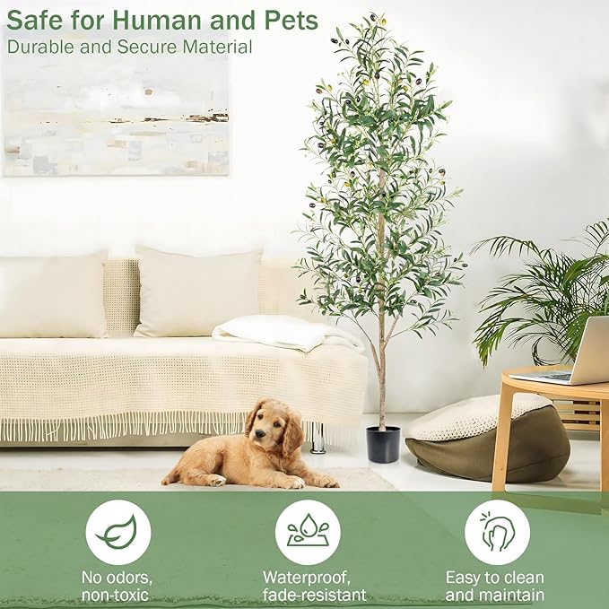 Caxchiling Faux Olive Tree 6FT, Artificial Potted Tree with Planter, Silk Plants Indoor Outdoor, Lifelike Olive Plants with Natural Wood Trunk, Fruits and Buds, Home Office Decor, 2 Pack