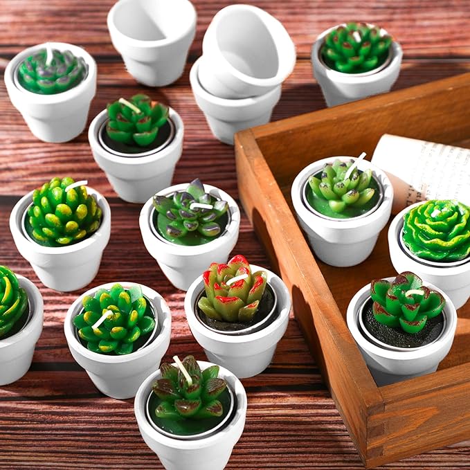 Shihanee 36 Pcs Succulent Cactus Tealight Candles with Mini Terracotta Pots, Spring Decor, Fiesta Cinco De Mayo Party Decorations, Mexican Party Favors, Baby Shower Wedding Table Decor(White)