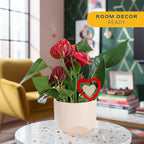 Costa Farms Anthurium, Flamingo Flower Live Plant in Decorative Pot, Air Purifying Flowering Indoor Houseplant, Home, Room, or Office Decor, House Warming or Birthday Gift, 10-14 Inches Tall