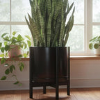 D'vine Dev Ceramic Planter with Ebony Stand - 14 Inch Modern Round Flower Pot with Wood Planter Holder, Black, 55-B-S-2