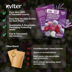 KVITER 750 Mix Powder Puff China Aster Seeds (Callistephus Chinensis) - China Aster, Cut Flowers with Long Stems, Double Flower in Seed Packets - Annual Flower Seeds for Outdoor Garden & Borders