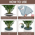 Nogeqi 2pcs Plants Covers Soil,7.5/11.8 Inch Plant Pot Grid,Plastic Plant Covers from Animals with Ground Nails,Keep Dog and Cat Out of Potted Plants for Indoor (Large Small Dark Green)