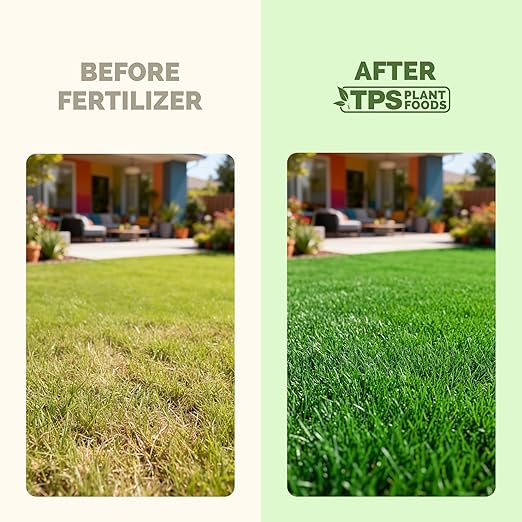 Pet Safe Lawn Fertilizer – Liquid Lawn Food for Greener Grass, Stronger Root Development & Safer Family Lawn Care, 1 Gallon